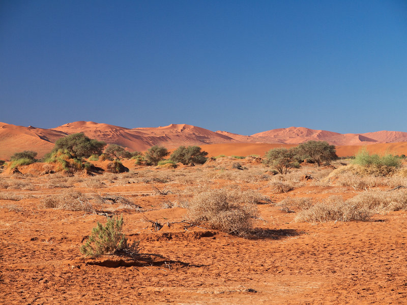 Sossusvlei